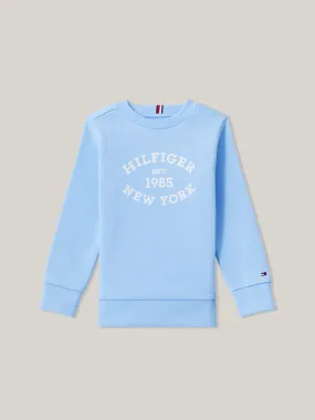 Boys 3-7 Hilfiger Monotype Flock Logo Sweatshirt | Sweatshirts & Hoodies | Tommy Hilfiger