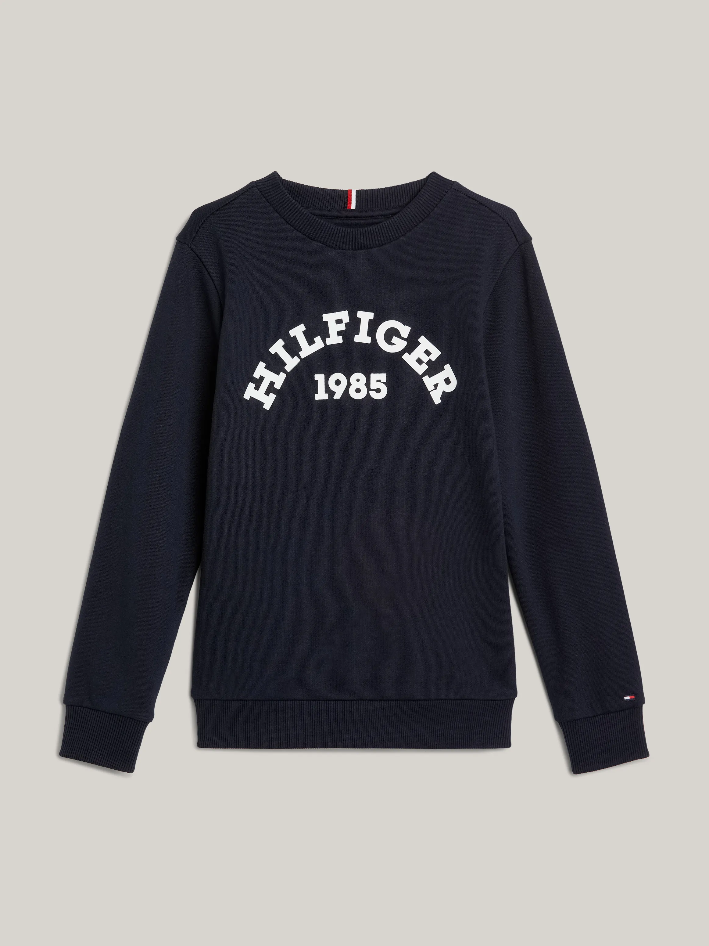 Boys 8-16 Hilfiger Monotype 1985 Collection Sweatshirt | Sweatshirts & Hoodies | Tommy Kids